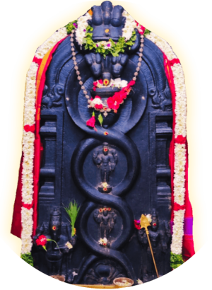 SRi BGS SEVA Card (1)